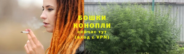 гашик Богданович