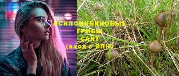синтетический гашиш Богородск