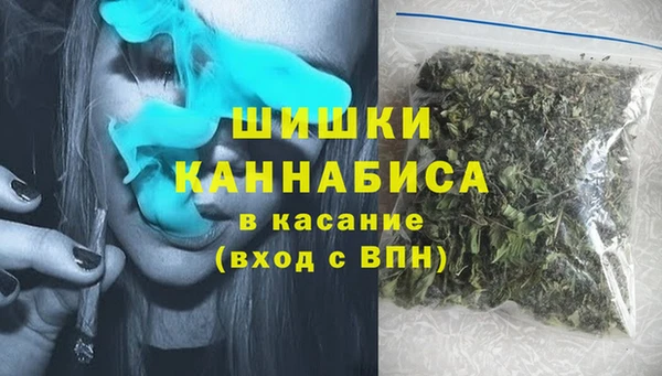 гашик Богданович
