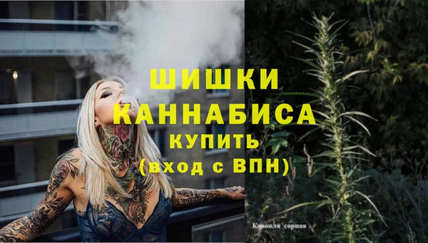 гашик Богданович