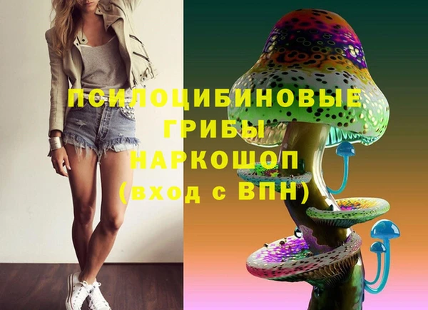 гашик Богданович
