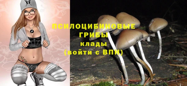 гашик Богданович