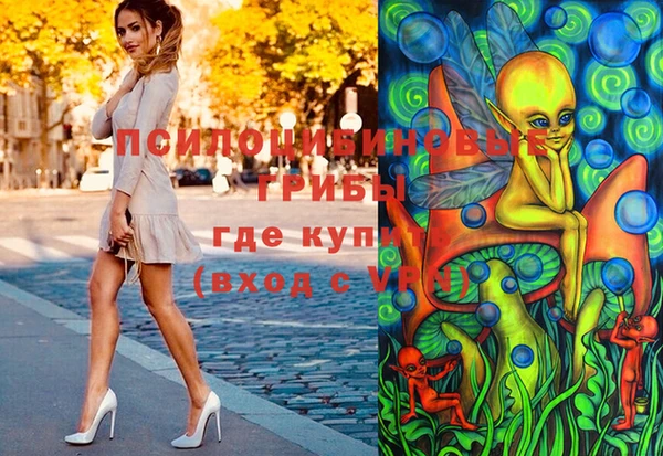 гашик Богданович