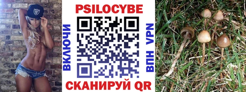 кракен сайт  Тогучин  Галлюциногенные грибы ЛСД 